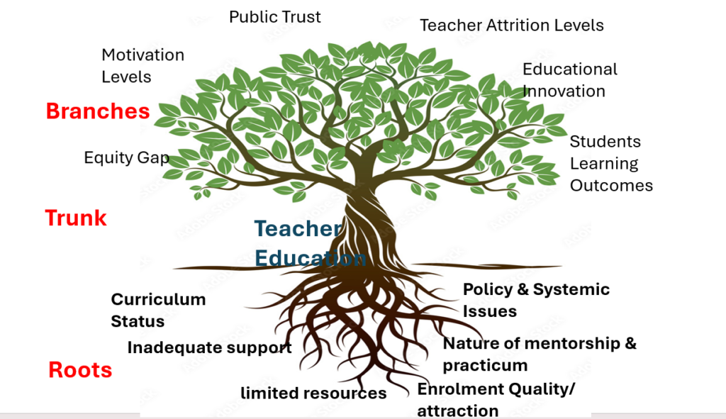 Why Transforming teacher education enhances learning experiences of learners at all levels